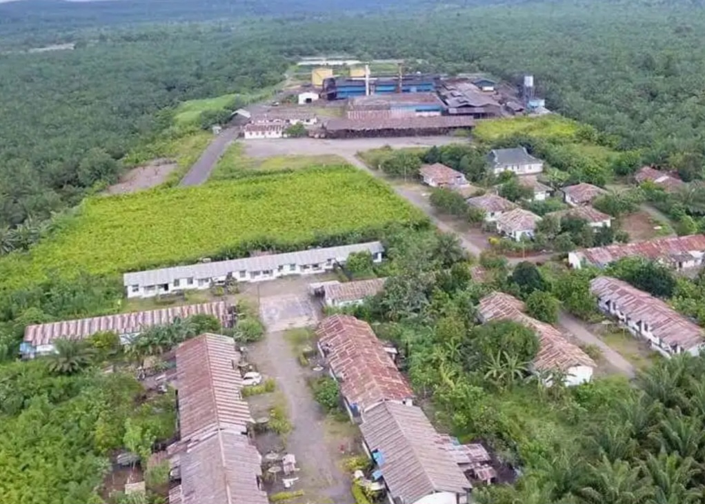 Dampak Ekonomi Investasi PT.KLS, Ratusan Miliar Uang Beredar di Masyarakat